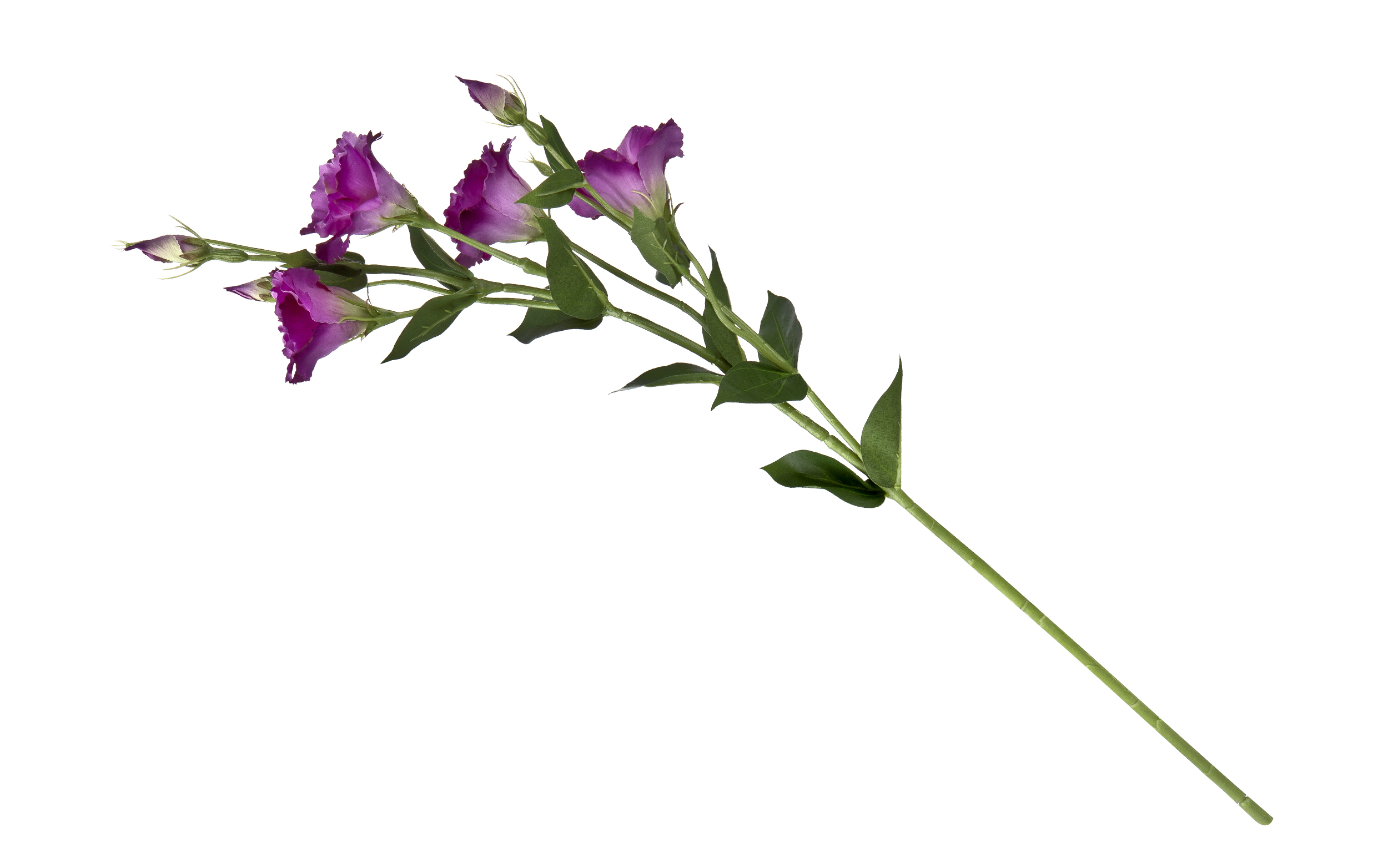 Kwiat Eustoma 86cm