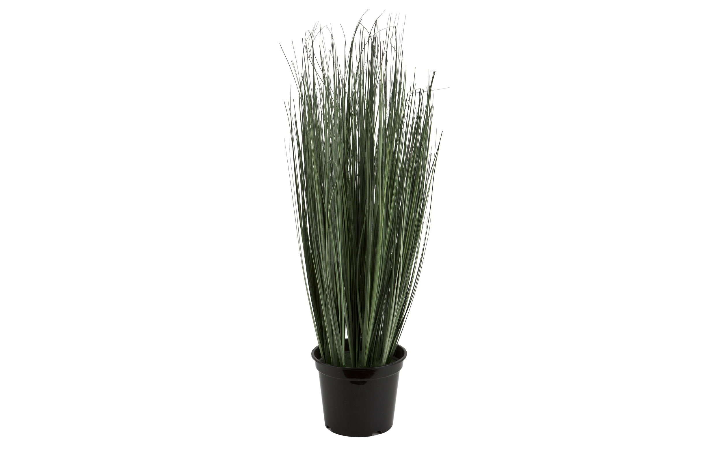 Roślina doniczkowa trawa 70 cm