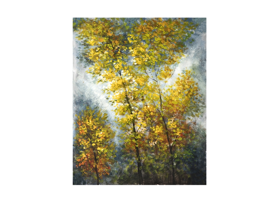 Obraz na płótnie 80x100cm Drzewa jesienią