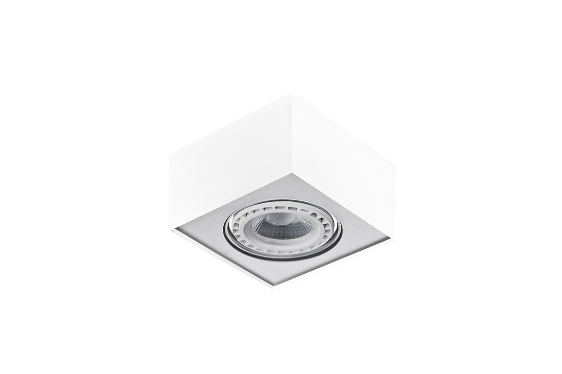 Plafon Paulo 1 White FH30531S